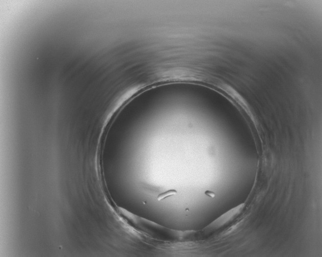 X0000067491293200604150032