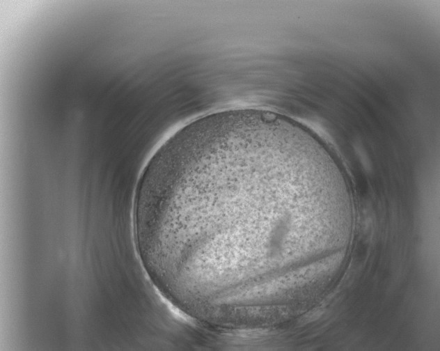 X0000067491294200604150032