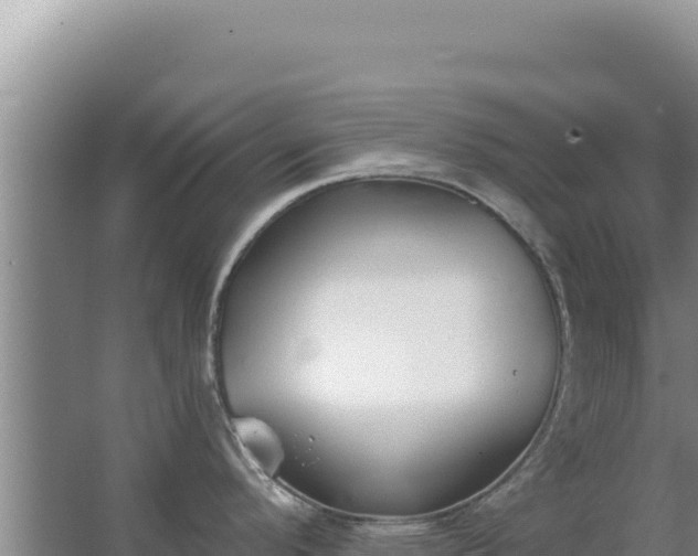 X0000067491296200604150032