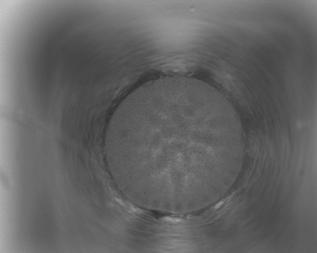 X0000067491297200604150031