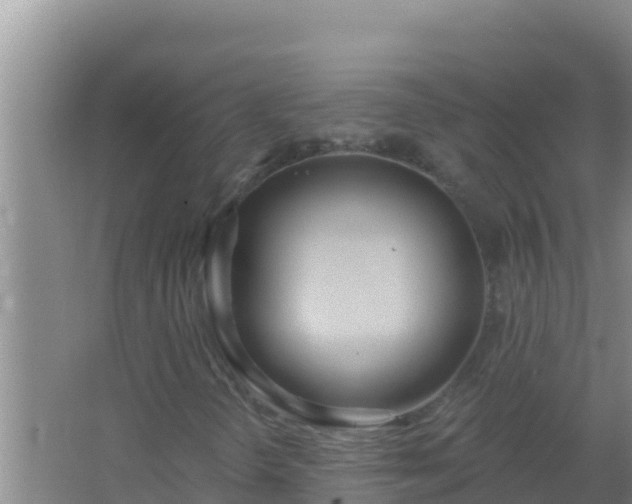 X0000067491298200604150031