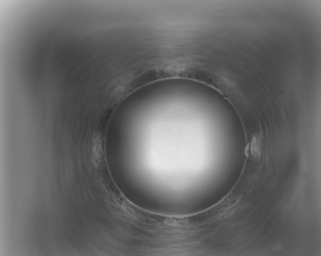 X0000067491299200604150031