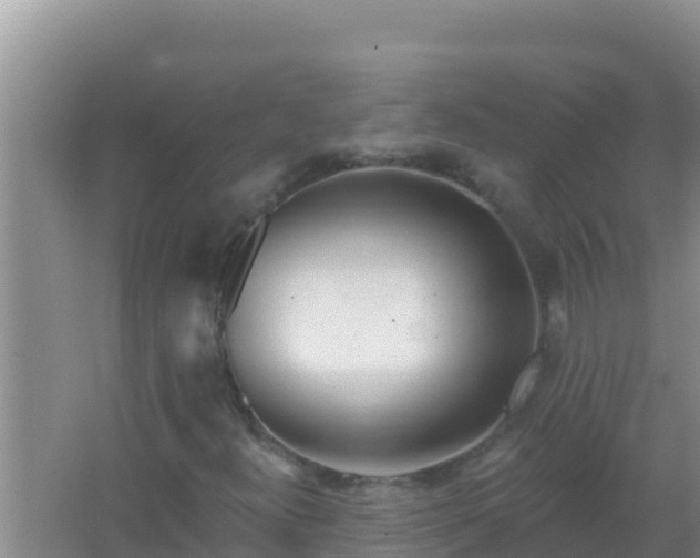 X0000067491300200604150031