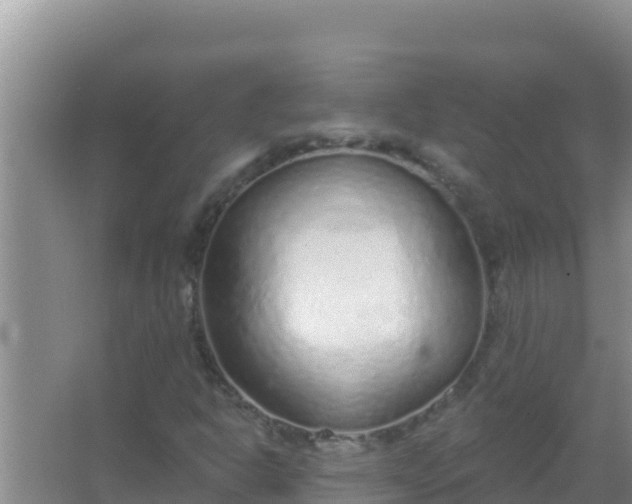 X0000067491302200604150031