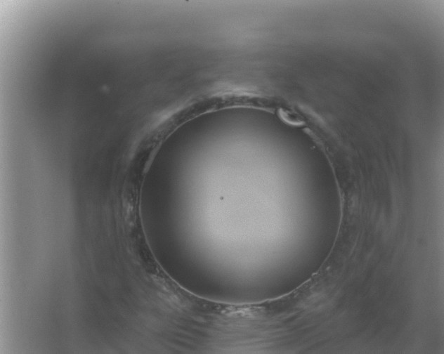 X0000067491303200604150031