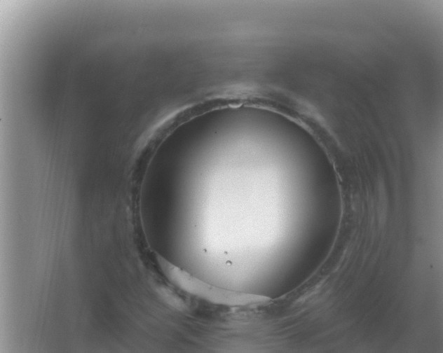 X0000067491304200604150031