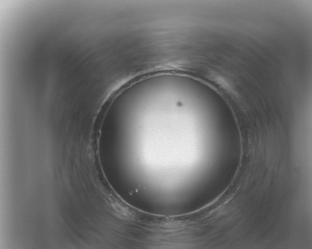 X0000067491308200604150031