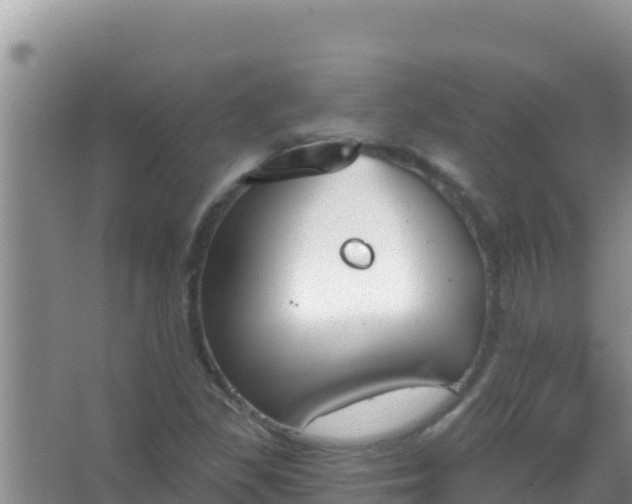 X0000067491309200604150031