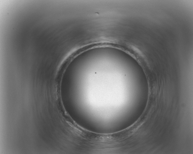 X0000067491310200604150031