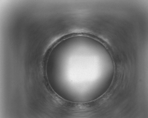 X0000067491311200604150031