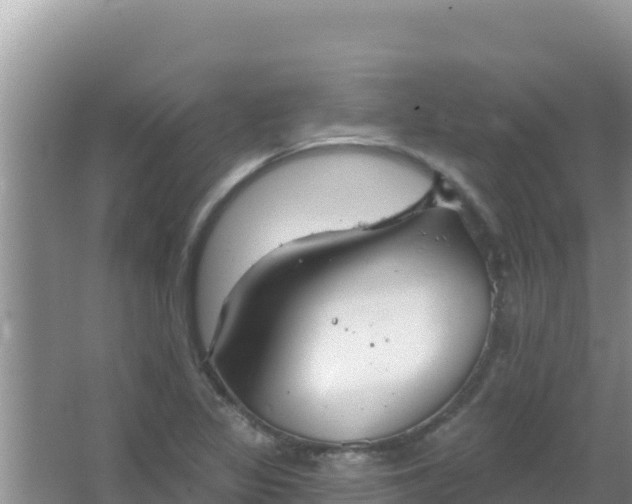 X0000067491317200604150032