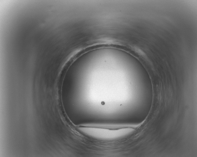 X0000067491318200604150032