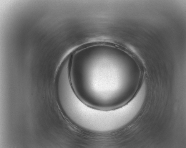 X0000067491320200604150032