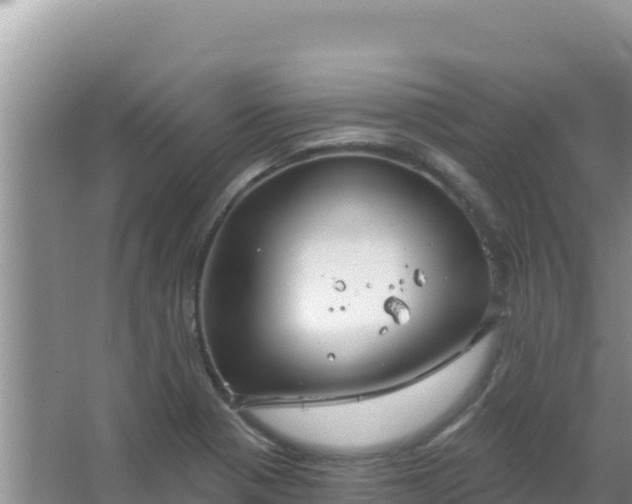 X0000067491321200604150032