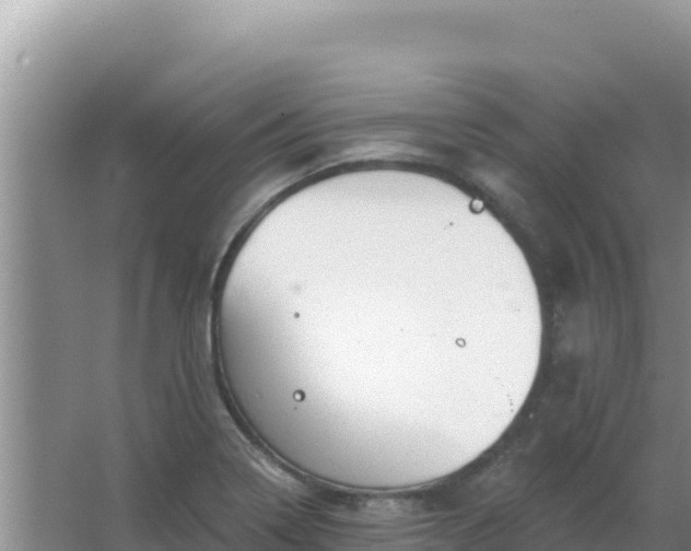 X0000067491322200604150032