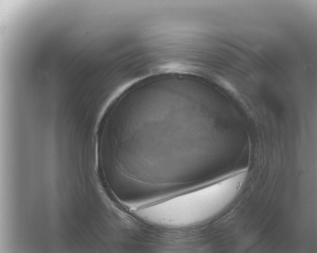 X0000067491323200604150032