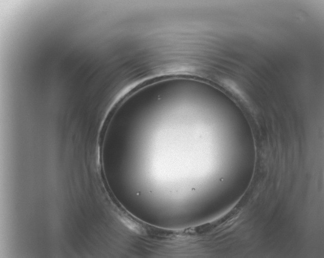 X0000067491324200604150032