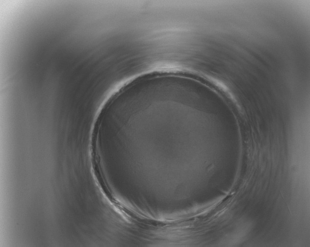 X0000067491327200604150032