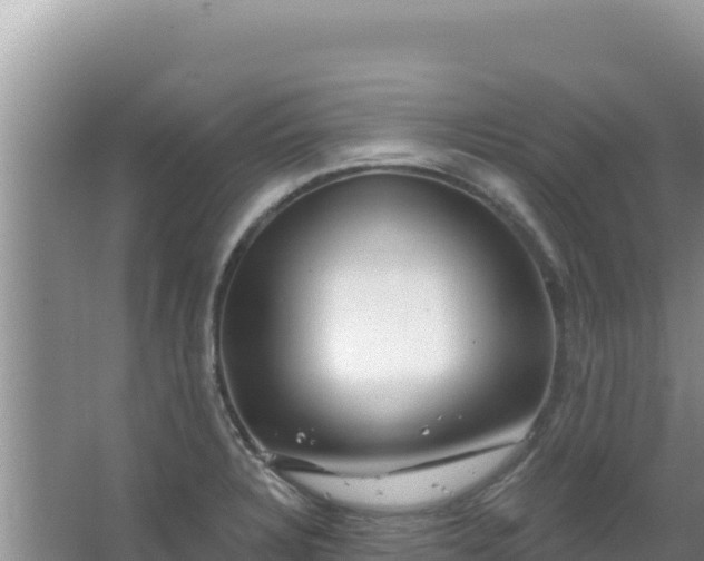 X0000067491328200604150032