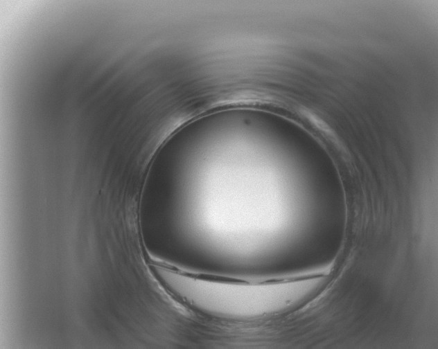 X0000067491329200604150032