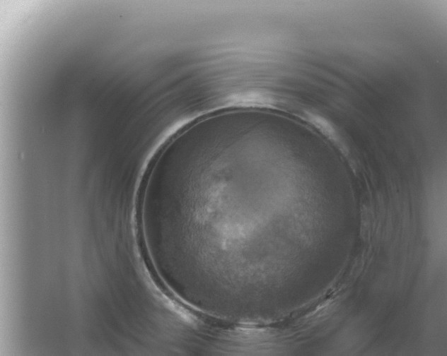 X0000067491331200604150032