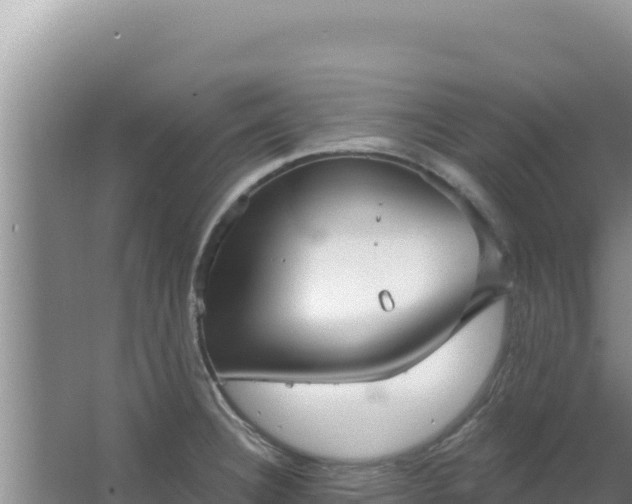 X0000067491332200604150032