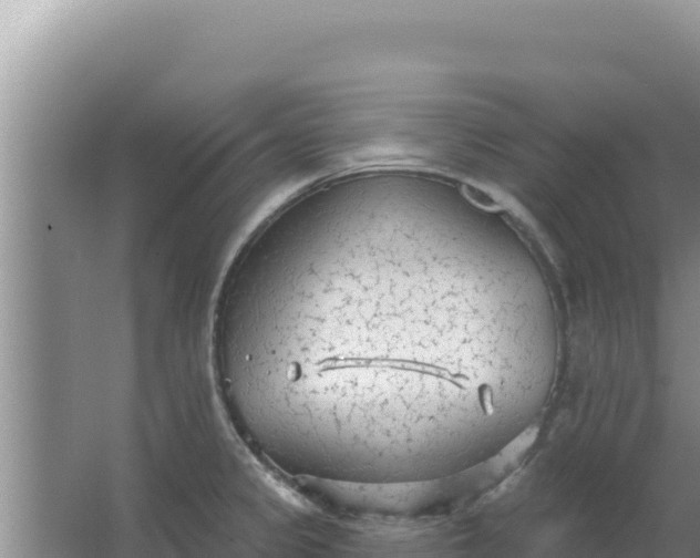 X0000067491333200604150032