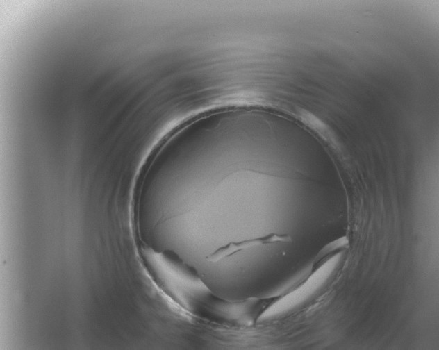 X0000067491334200604150032