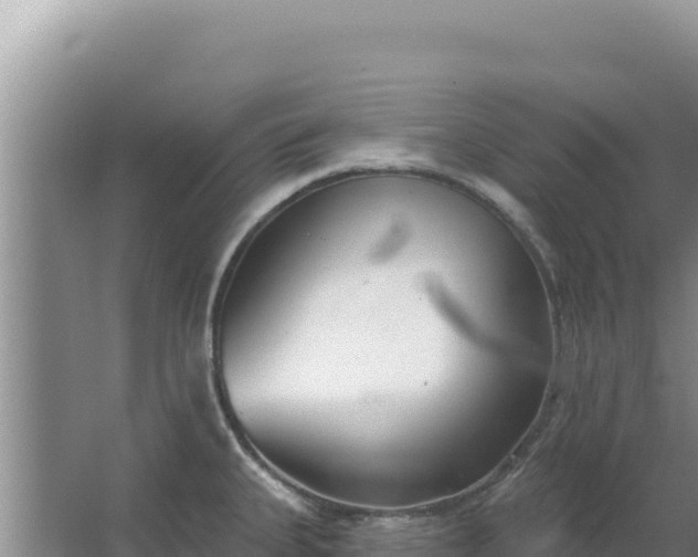 X0000067491335200604150032