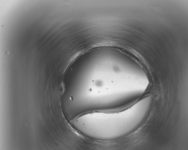 X0000067491337200604150032