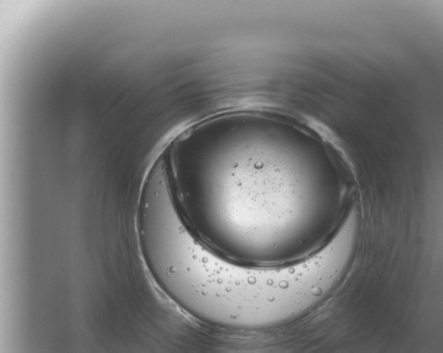 X0000067491338200604150032