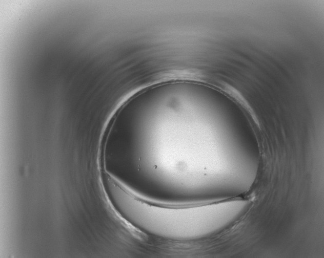 X0000067491339200604150032