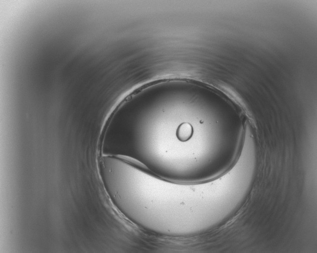 X0000067491340200604150032