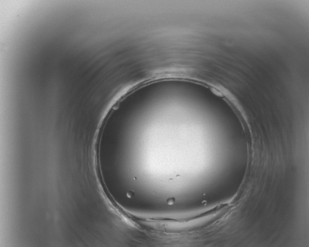 X0000067491341200604150032