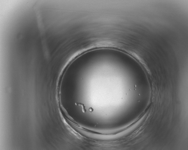 X0000067491342200604150032