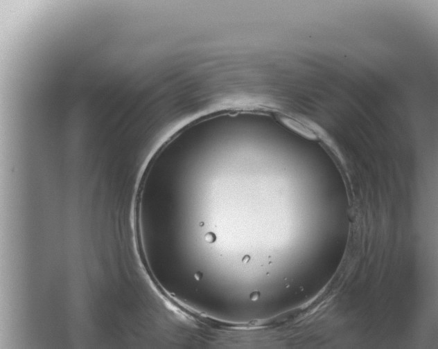 X0000067491343200604150032