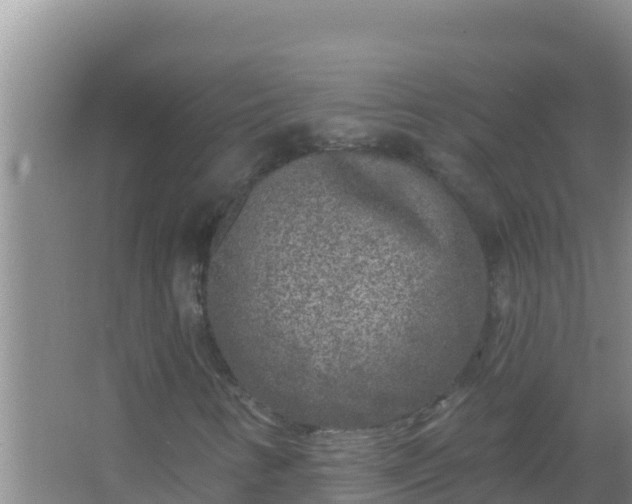 X0000067491346200604150031