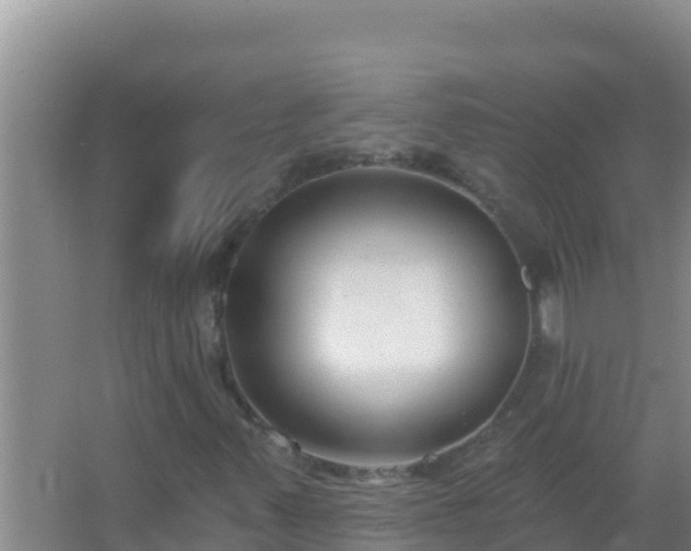 X0000067491347200604150031