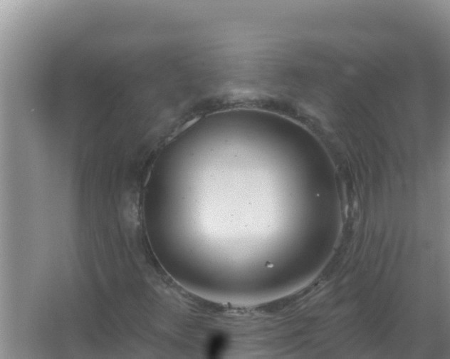 X0000067491348200604150031