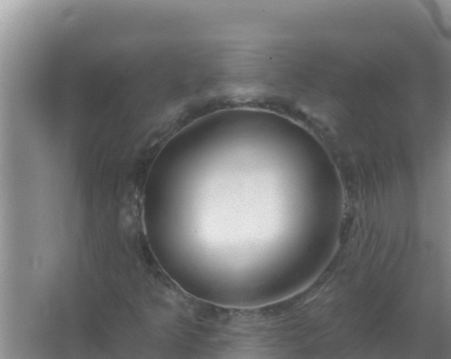 X0000067491349200604150031