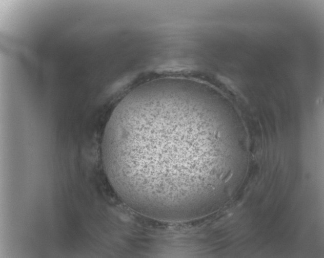 X0000067491350200604150031