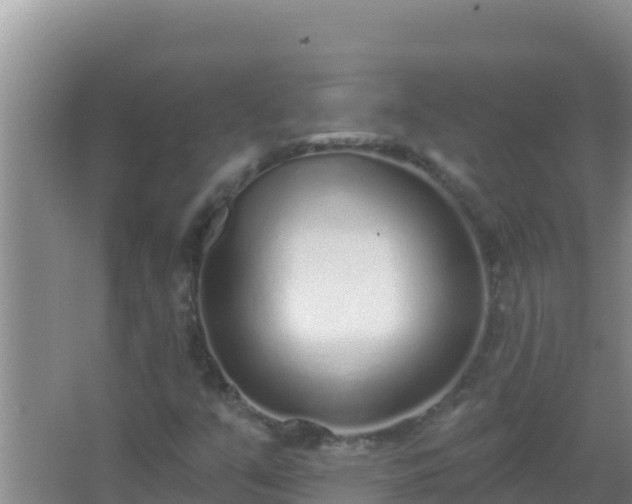 X0000067491351200604150031