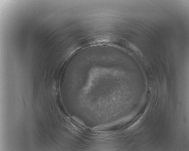 X0000067491353200604150031