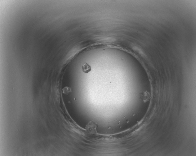 X0000067491354200604150031