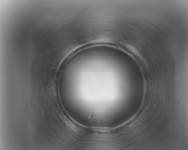 X0000067491356200604150031