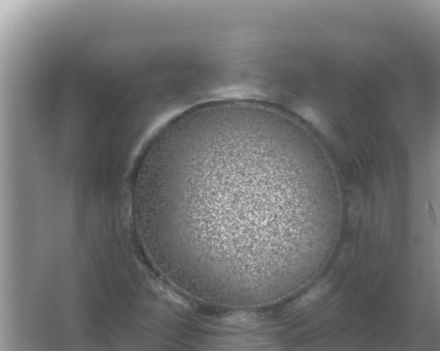 X0000067491358200604150031