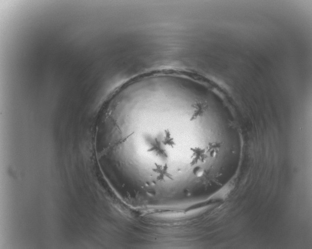 X0000067491359200604150031