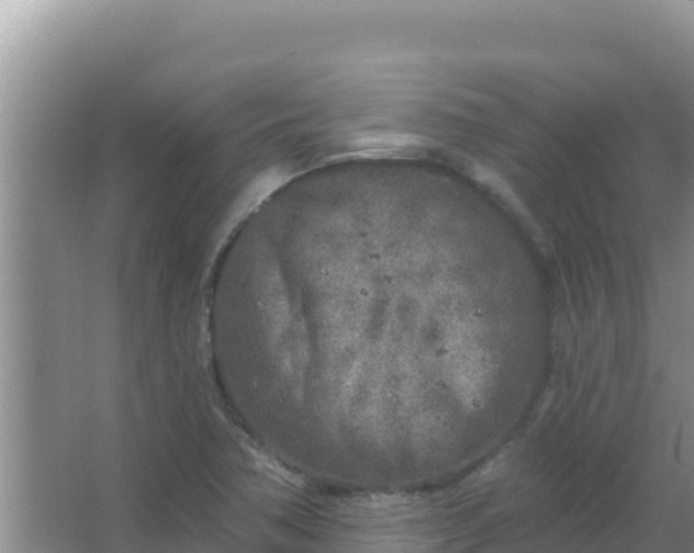 X0000067491362200604150031