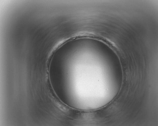 X0000067491363200604150031