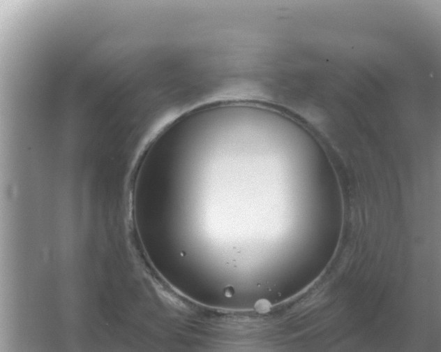 X0000067491366200604150031